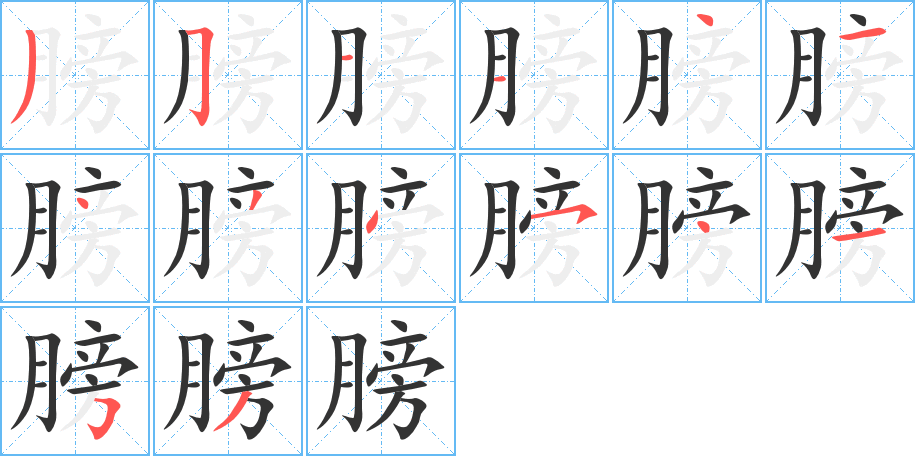 膀字笔顺写法