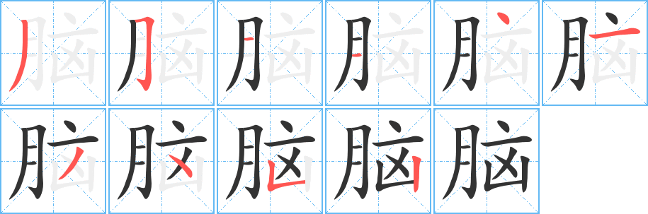 脑字笔顺写法