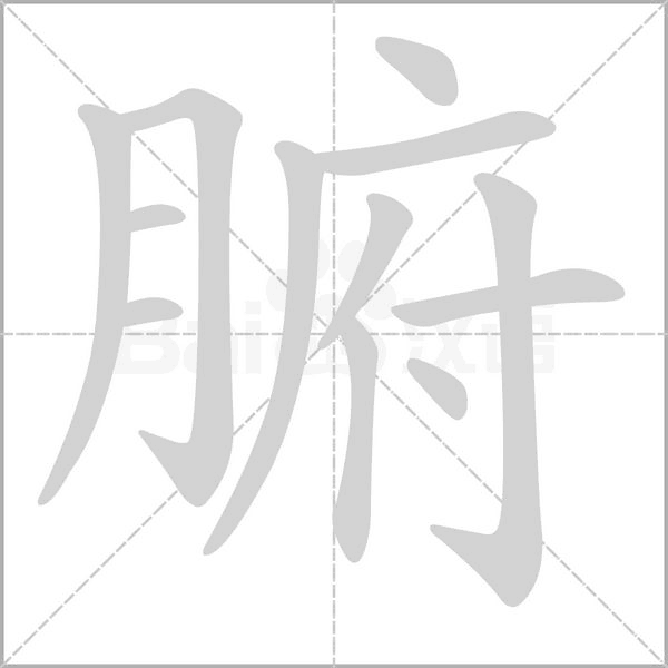 腑字笔顺动画