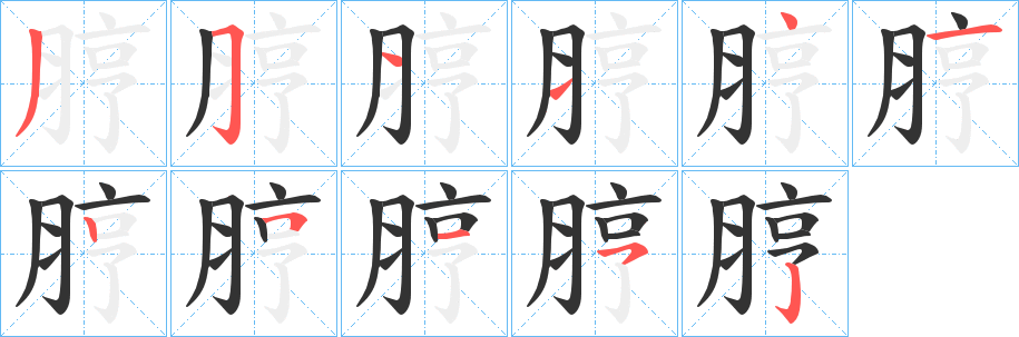 脝字笔顺写法
