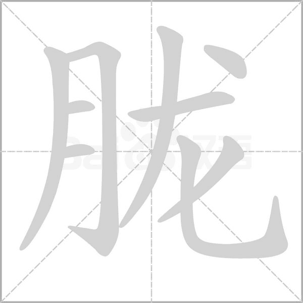 胧字笔顺动画