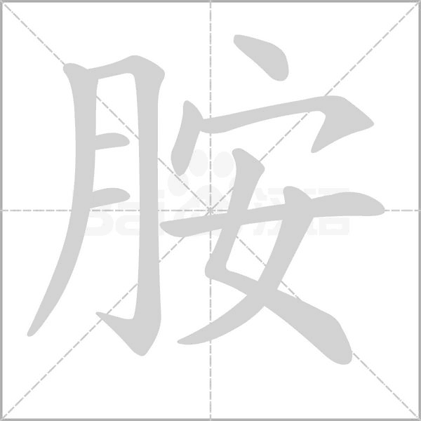 胺字笔顺动画