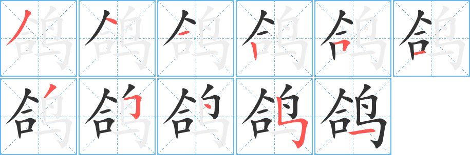 鸽字笔顺写法