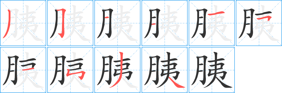 胰字笔顺写法