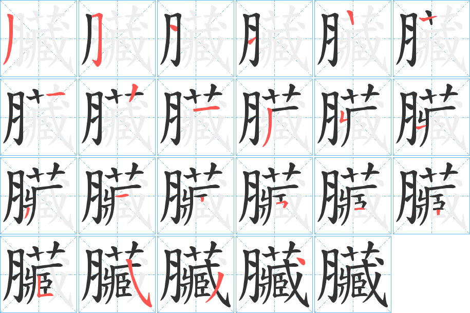 臟字笔顺写法