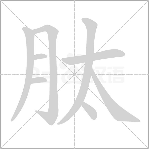 肽字笔顺动画