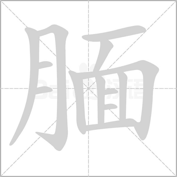腼字笔顺动画