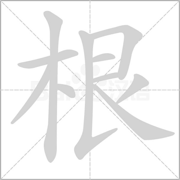 根字笔顺动画
