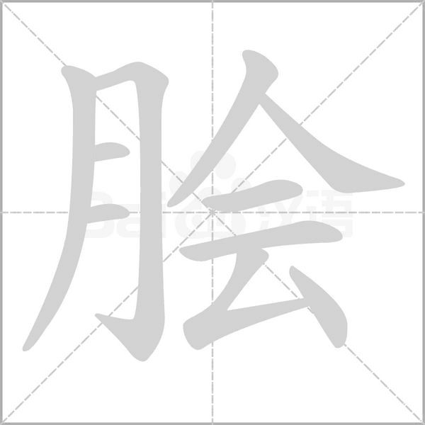 脍字笔顺动画