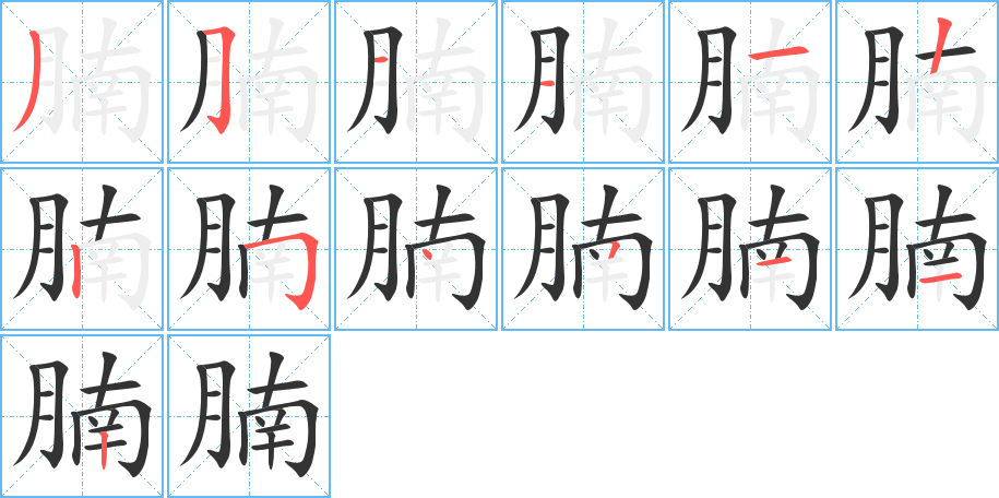 腩字笔顺写法