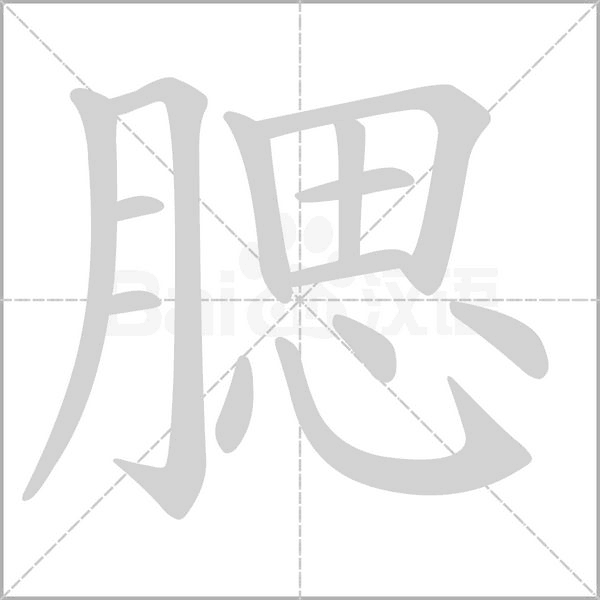 腮字笔顺动画