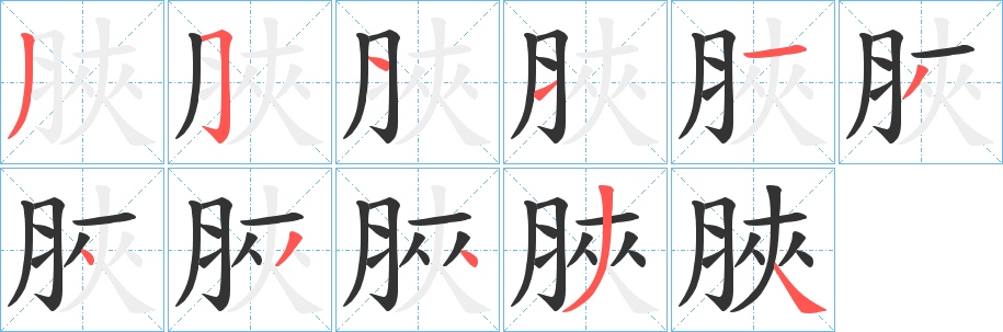 脥字笔顺写法