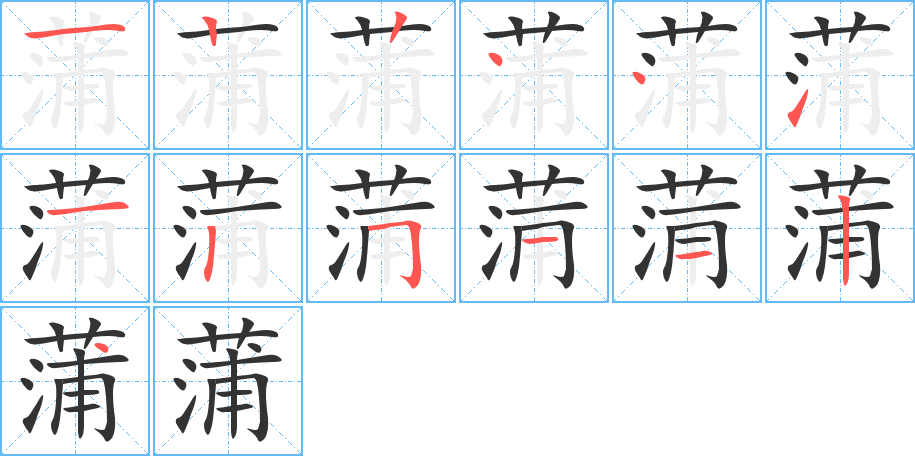 蒲字笔顺写法