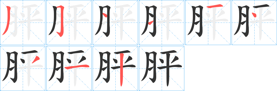胓字笔顺写法