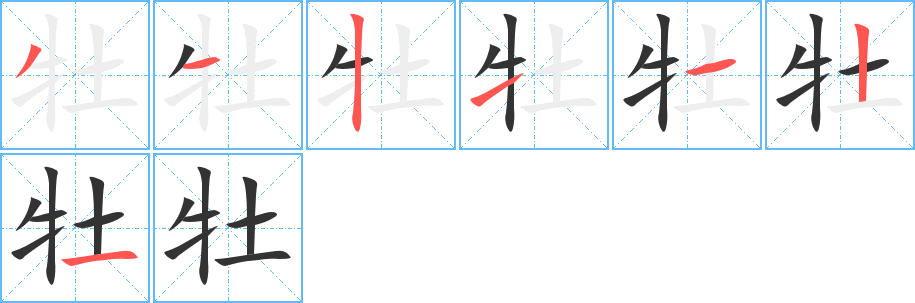 牡字笔顺写法