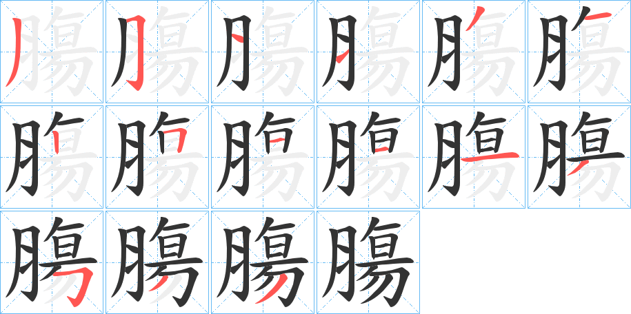 膓字笔顺写法