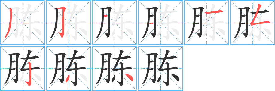 胨字笔顺写法