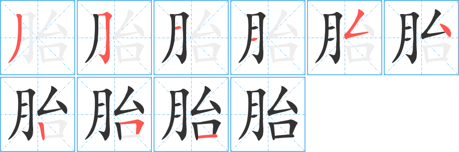 胎字笔顺写法
