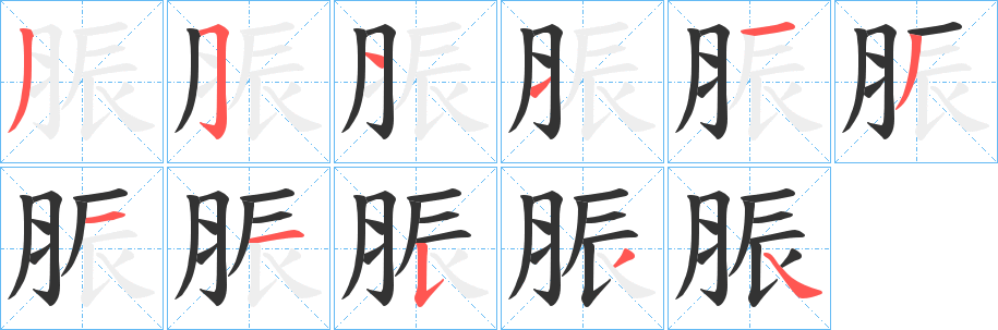 脤字笔顺写法