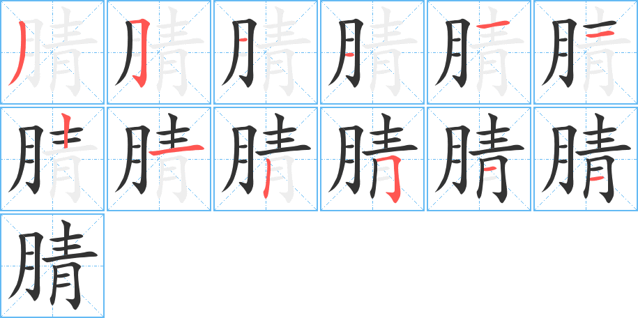腈字笔顺写法