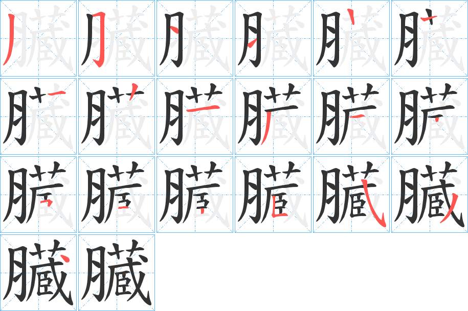 臓字笔顺写法