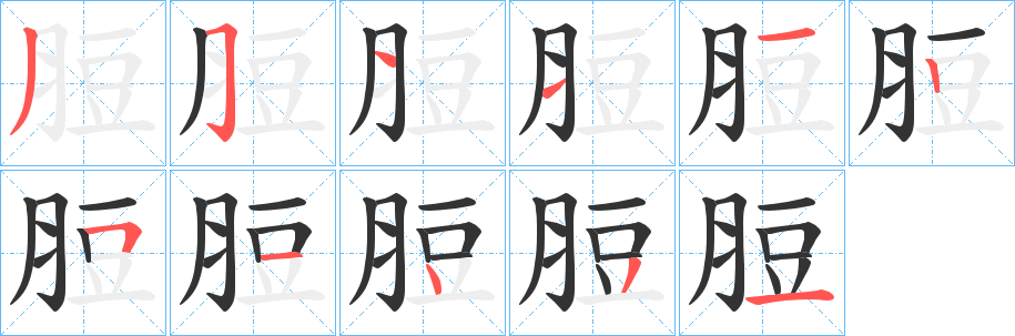 脰字笔顺写法