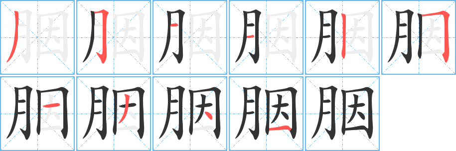胭字笔顺写法
