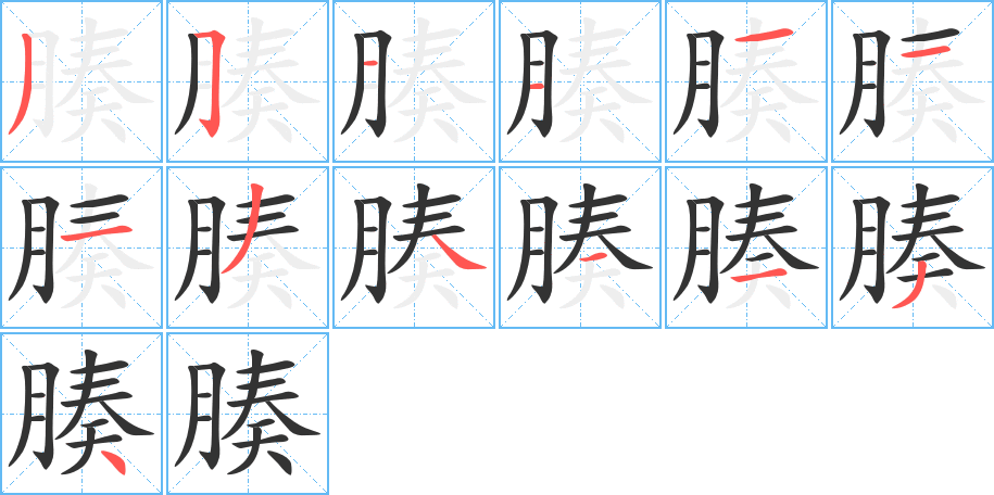 腠字笔顺写法