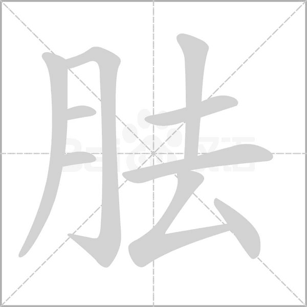 胠字笔顺动画