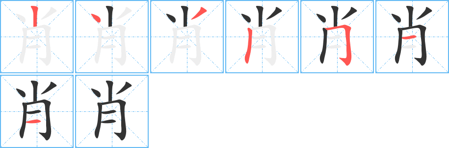 肖字笔顺写法
