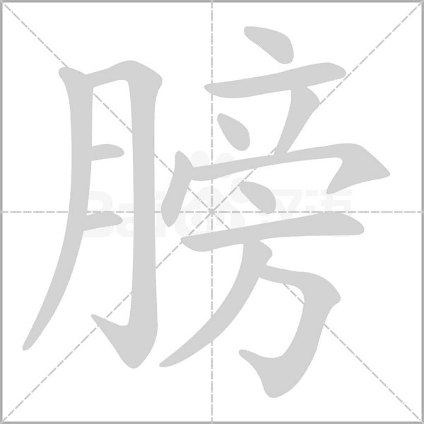 膀字笔顺动画