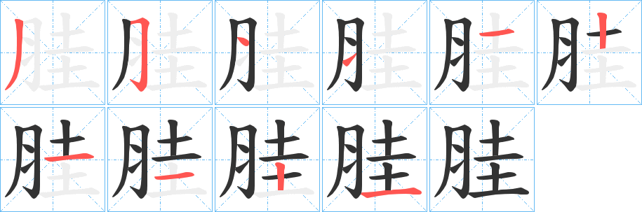 胿字笔顺写法