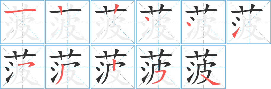 菠字笔顺写法