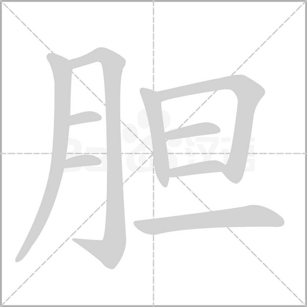 胆字笔顺动画