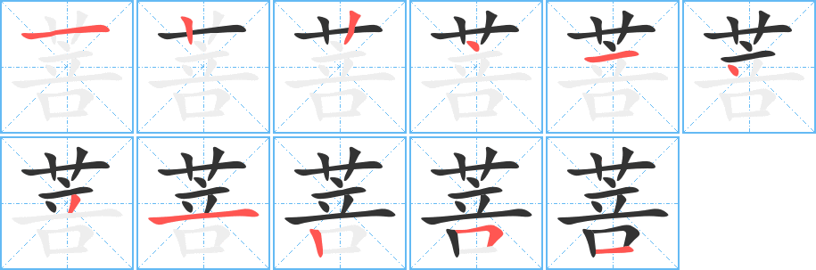 菩字笔顺写法