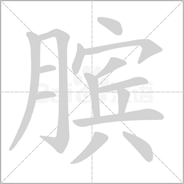 膑字笔顺动画