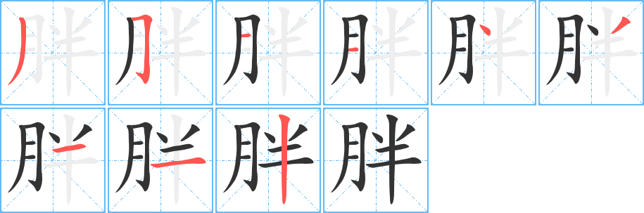 胖字笔顺写法