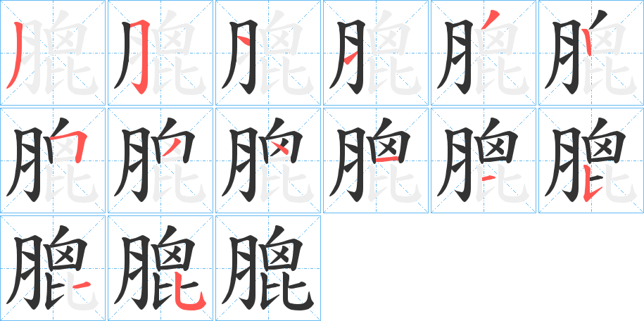膍字笔顺写法