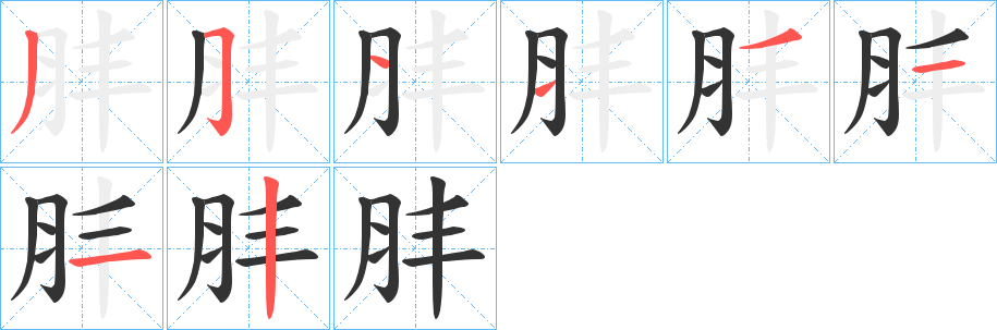 肨字笔顺写法