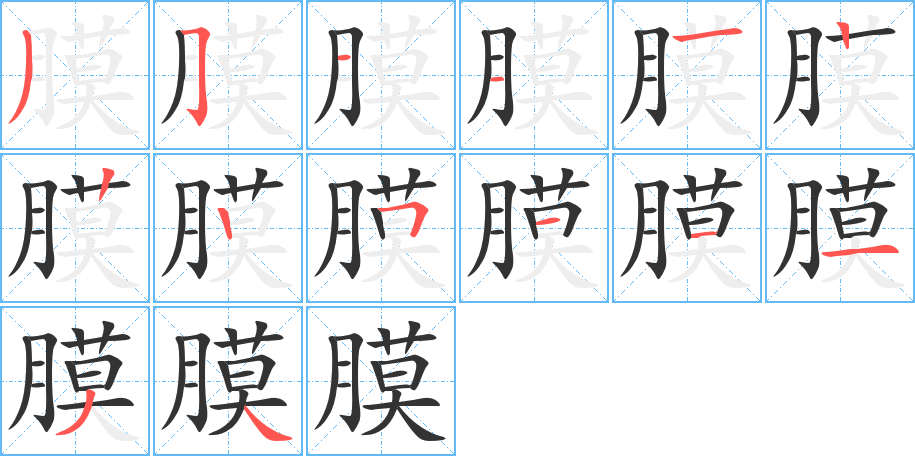 膜字笔顺写法