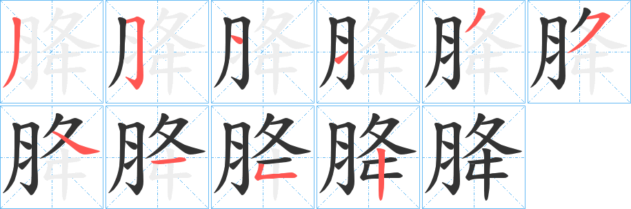胮字笔顺写法