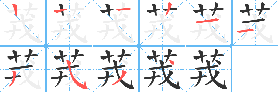 茙字笔顺写法