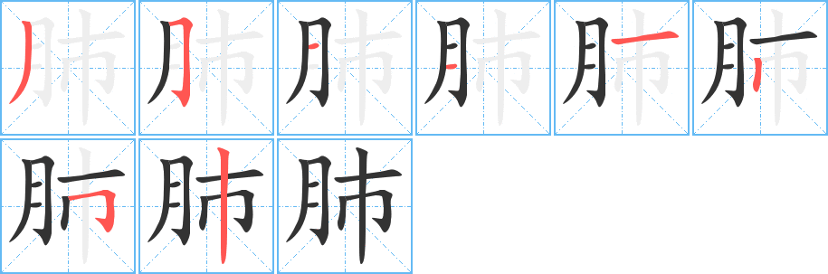 肺字笔顺写法