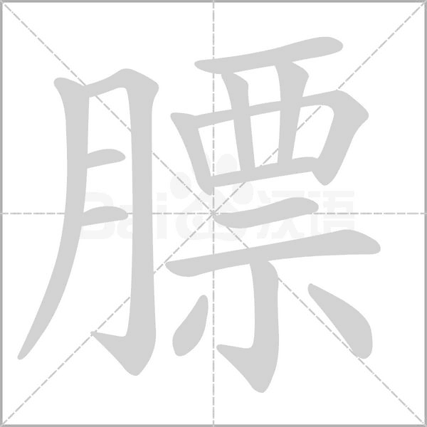 膘字笔顺动画