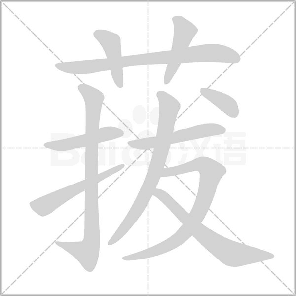 菝字笔顺动画