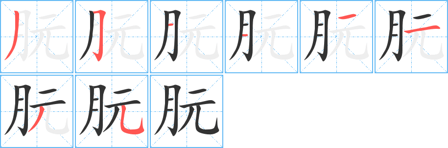 朊字笔顺写法