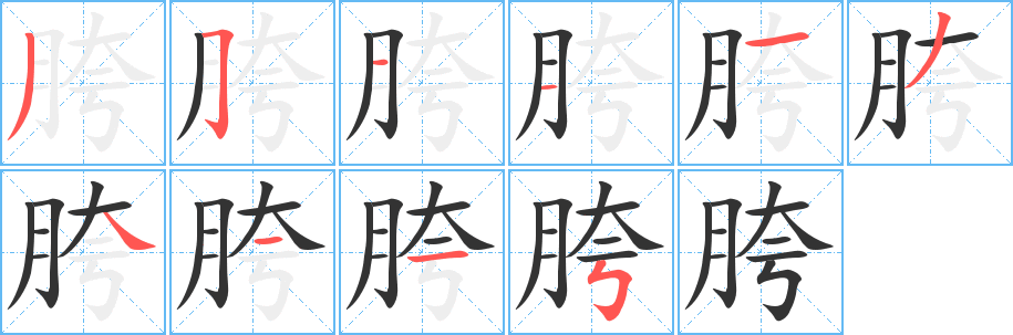 胯字笔顺写法