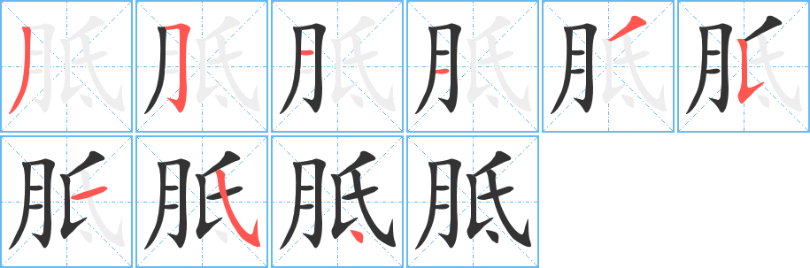 胝字笔顺写法