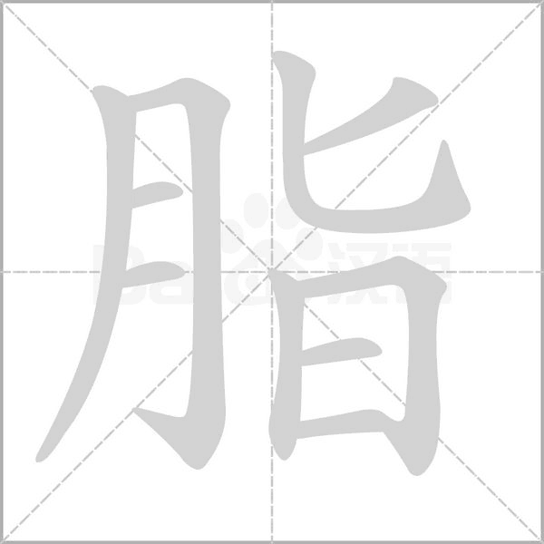 脂字笔顺动画