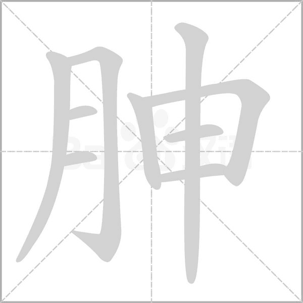 胂字笔顺动画